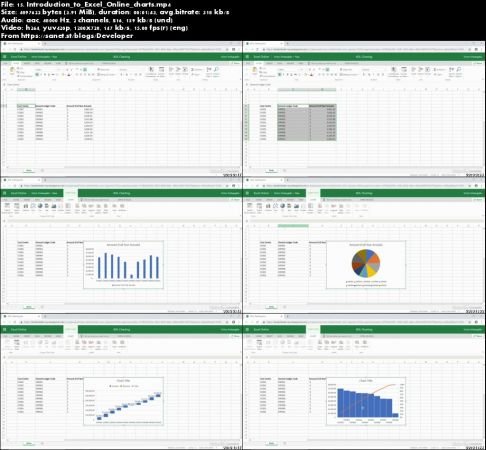 Learning Excel Online (Released Nov. 2018)