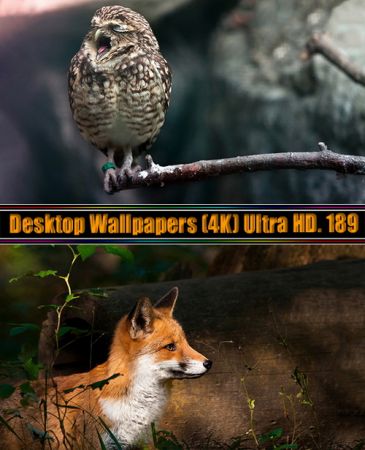 Desktop Wallpapers (4K) Ultra HD. Part (189)