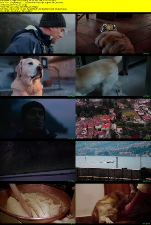 Dogs 2018 S01 1080p NF WEBRip DD5.1 x264-PiA