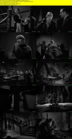 Son of Frankenstein 1939 BRRip XviD MP3-XVID