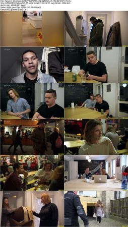 Roomies S01 DANISH 720p WEB-DL H264-WEEDPOT