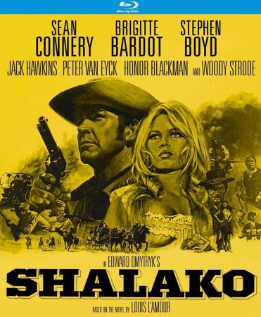 Shalako 1968 720p BluRay H264 AAC-RARBG