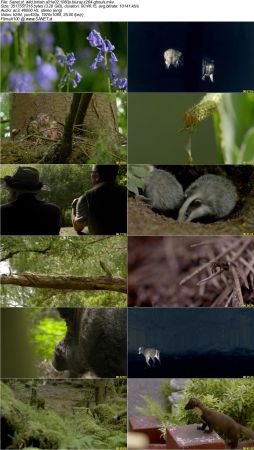 Wild Britain S01 1080p BluRay x264-GHOULS