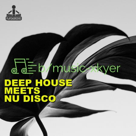 VA - Deep House Meets Nu Disco (2018)