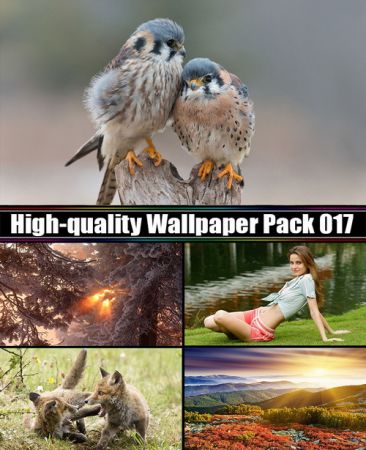 High-quality Wallpaper Pack 017