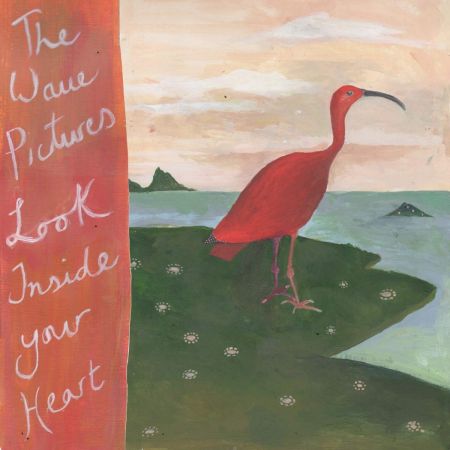 The Wave Pictures - Look Inside Your Heart (2018) Mp3 / Flac