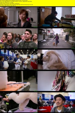 Dogs 2018 S01 1080p NF WEBRip DD5.1 x264-PiA