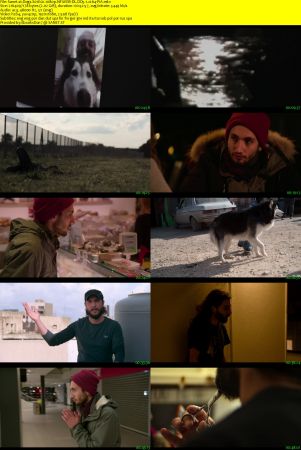 Dogs 2018 S01 1080p NF WEBRip DD5.1 x264-PiA