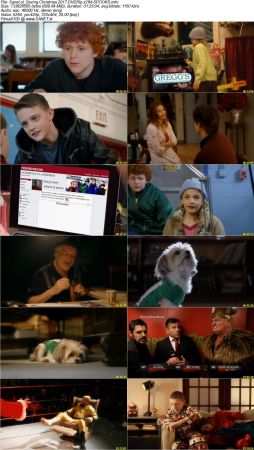 Saving Christmas 2017 DVDRip x264-SPOOKS