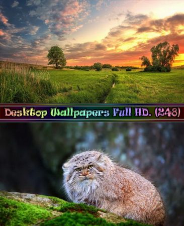 Desktop Wallpapers Full HD. Part (249)