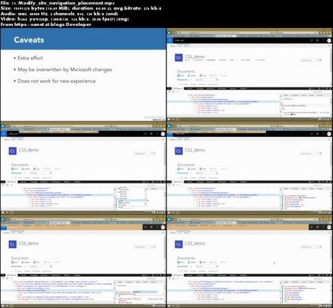 SharePoint 2019: Customizing with Themes and CSS