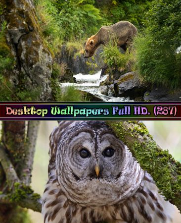 Desktop Wallpapers Full HD. Part (287)
