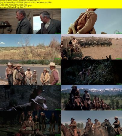 The Cowboys 1972 BRRip XviD MP3-XVID