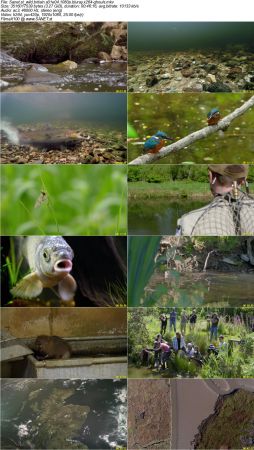 Wild Britain S01 1080p BluRay x264-GHOULS