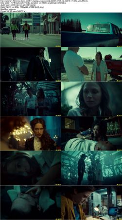 Wynonna Earp S03 720p AMZN WEB-DL DDP5.1 H264-ViSUM