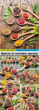 Spices in wooden spoons 15 x UHQ JPEG