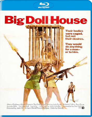 The Big Doll House 1971 BRRip XviD MP3-XVID
