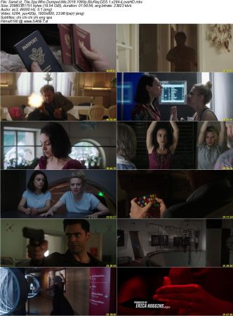 The Spy Who Dumped Me 2018 1080p BluRay DD5.1 x264-iLoveHD