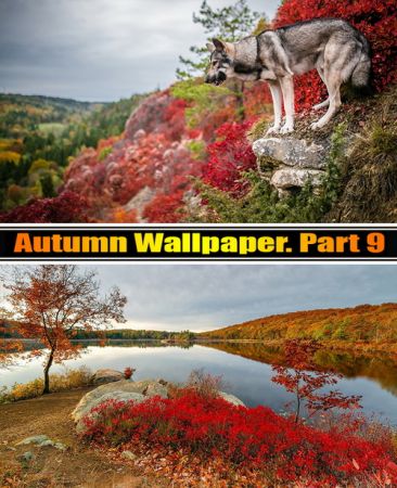 Autumn Wallpaper Part 09