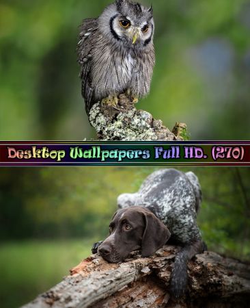 Desktop Wallpapers Full HD. Part (270)