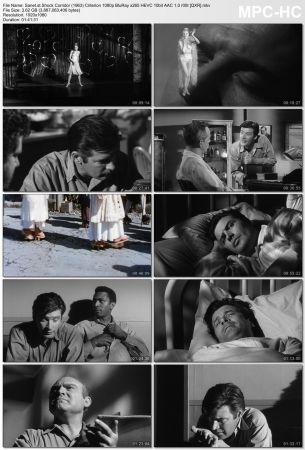 Shock Corridor 1963 Criterion 1080p BluRay x265 HEVC 10bit AAC 1.0 r00t QXR