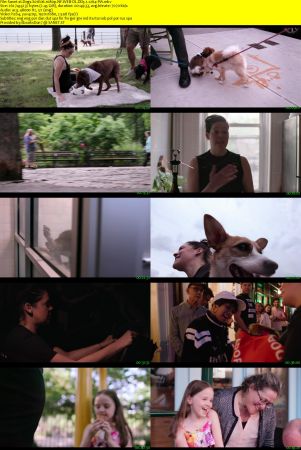 Dogs 2018 S01 1080p NF WEBRip DD5.1 x264-PiA