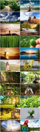 Nature landscape forest waterfall sprout vacation trip 25 HQ Jpeg