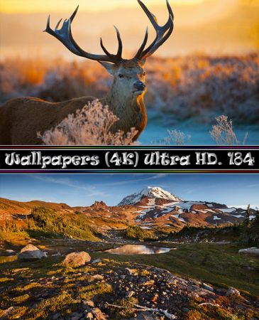 Desktop Wallpapers (4K) Ultra HD. Part (184)