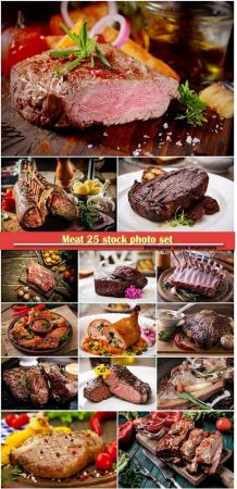 Meat 25 stock photo set