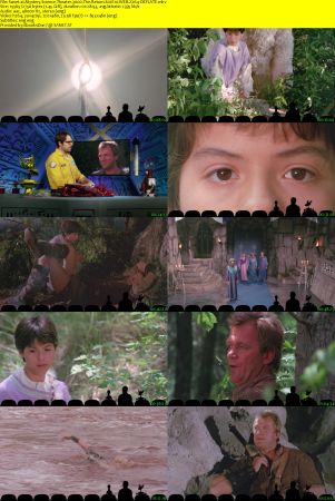 Mystery Science Theater 3000 The Return 2017 S01 NF WEBRip AAC2.0 x264-DEFLATE