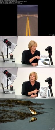 The Elements of Effective Photographs