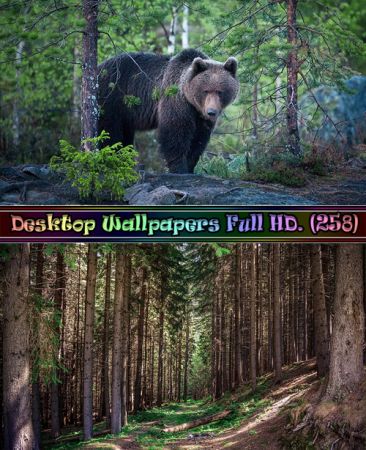 Desktop Wallpapers Full HD. Part (258)