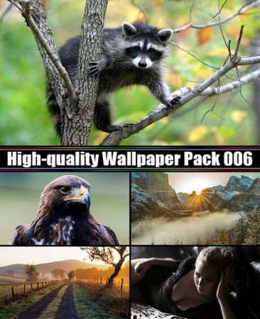 High-quality Wallpaper Pack 006