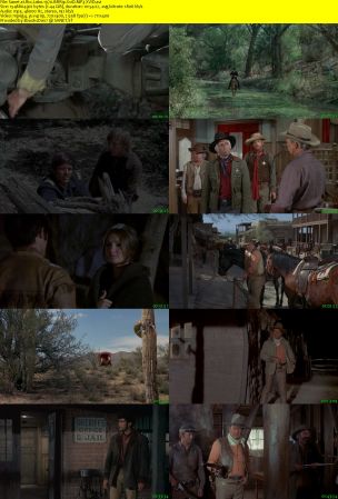 Rio Lobo 1970 BRRip XviD MP3-XVID