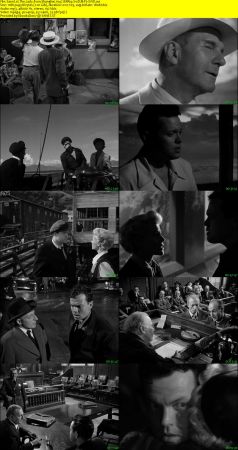 The Lady from Shanghai 1947 BRRip XviD MP3-XVID