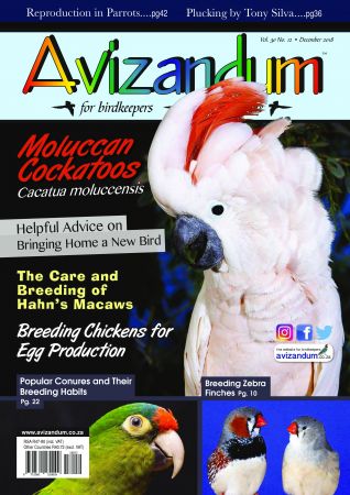 Avizandum "“ November 2018