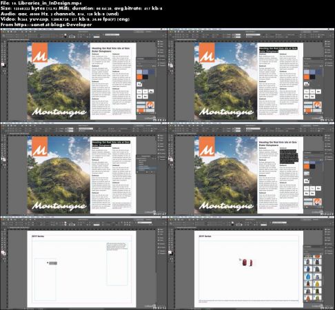 Learning Creative Cloud Libraries