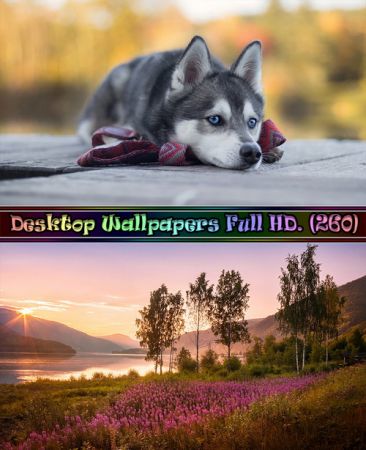 Desktop Wallpapers Full HD. Part (260)