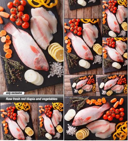 Raw fresh red tilapia and vegetables   10 UHQ JPEG