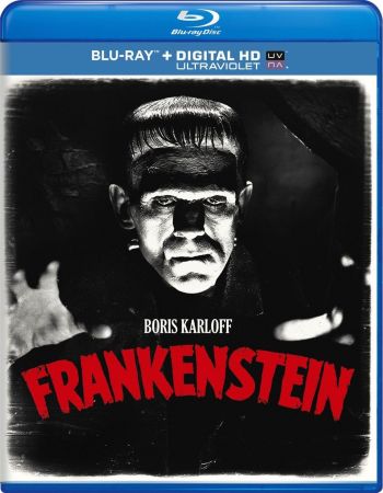 Frankenstein 1931 1080p BluRay H264 AAC-RARBG