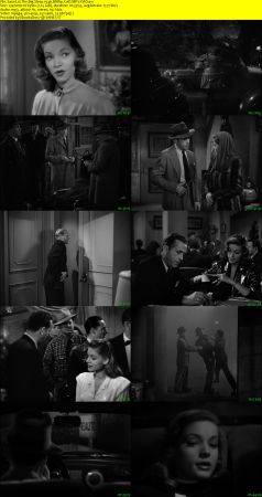 The Big Sleep 1946 BRRip XviD MP3-XVID