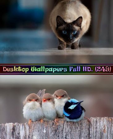 Desktop Wallpapers Full HD. Part (249)