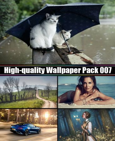 High-quality Wallpaper Pack 007