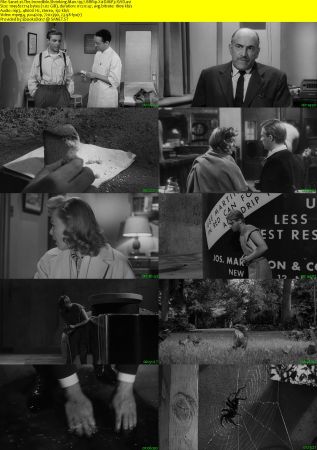The Incredible Shrinking Man 1957 BRRip XviD MP3-XVID