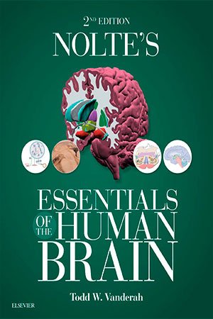Nolte's Essentials of the Human Brain, 2nd Edition