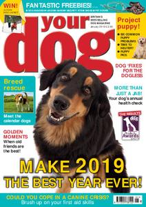 Your Dog – January 2019