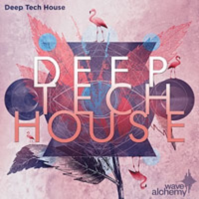 Wave Alchemy Deep Tech House MULTIFORMAT