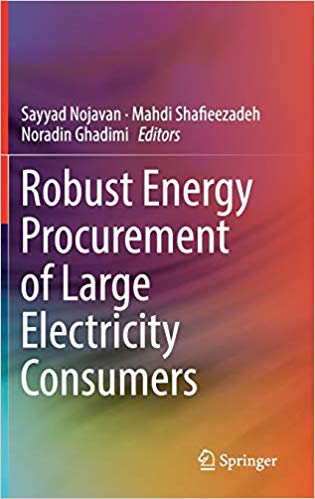 Robust Energy Procurement of Large Electricity Consumers