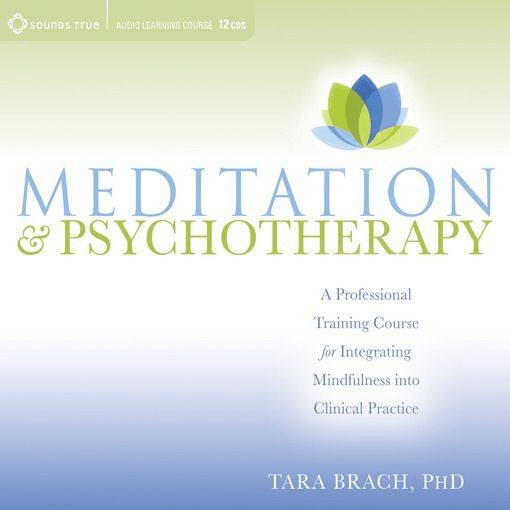 Meditation and Psychotherapy: A Professional Training Course for Integrating Mindfulness into Clinical Practice (Audiobook)