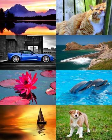 Desktop Wallpapers Mixed Pack # 711